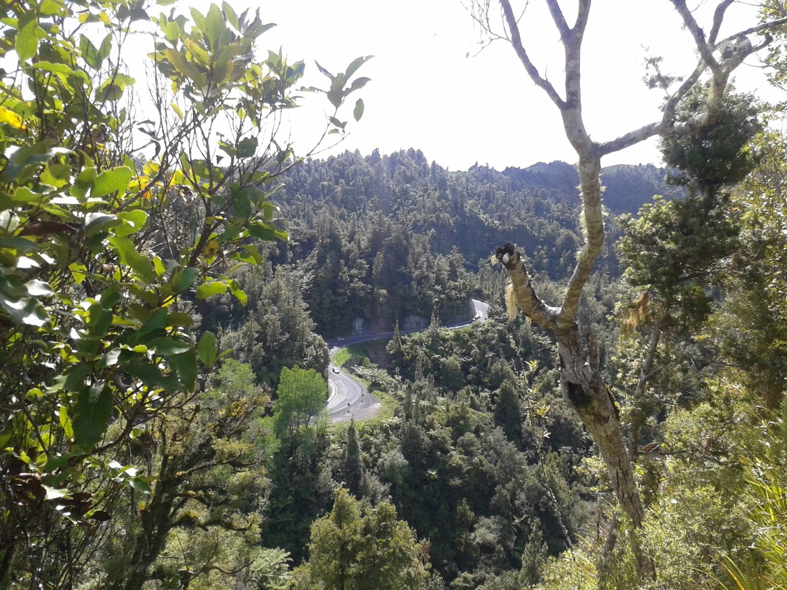 Mt Messenger bypass